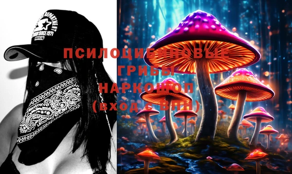 метадон Касимов