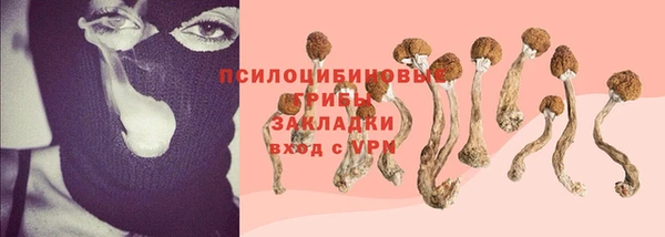 метадон Касимов