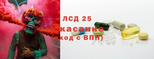 прущие грибы Магадан