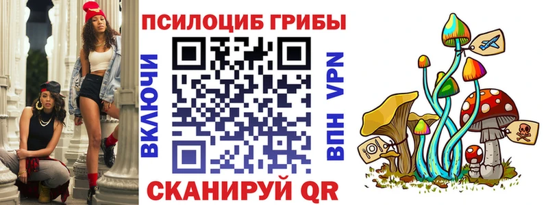 Псилоцибиновые грибы Psilocybe  kraken онион  Зеленокумск 