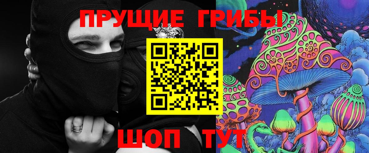 Галлюциногенные грибы Psilocybe Зеленокумск